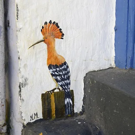 Feriehus Fewo1846 - Windschief - Uriges Fachwerkhaus Auf 3 Ebenen Mit Garten Im Stadtzentrum