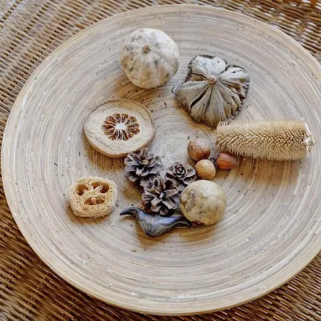 Fewo1846 - Windschief - Uriges Fachwerkhaus Auf 3 Ebenen Mit Garten Im Stadtzentrum Feriehus